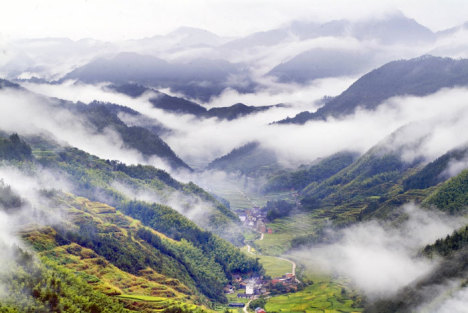 货车司机惊魂记：滚下山崖的生死瞬间